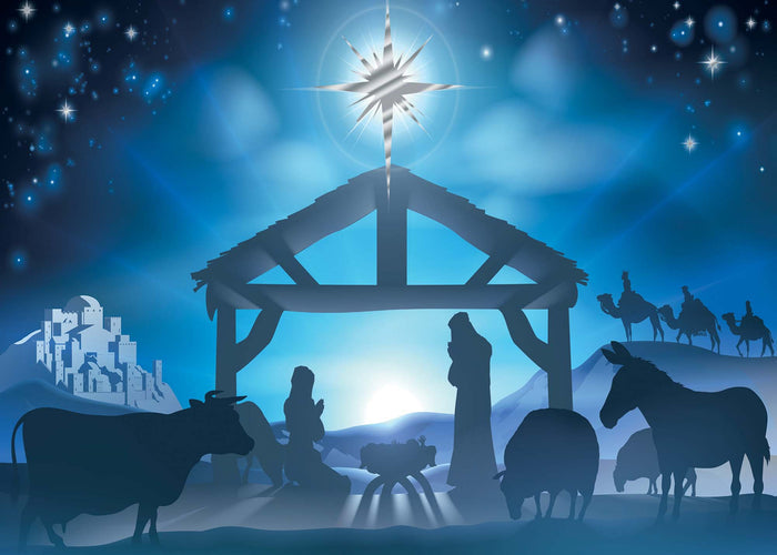 Shared Blessings | Blue Sky Nativity Boxed Christian Christmas Cards, 18 Count