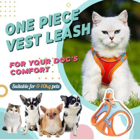 üêï One Piece Pet Vest Leash ‚Äì Adjustable & breathable mesh