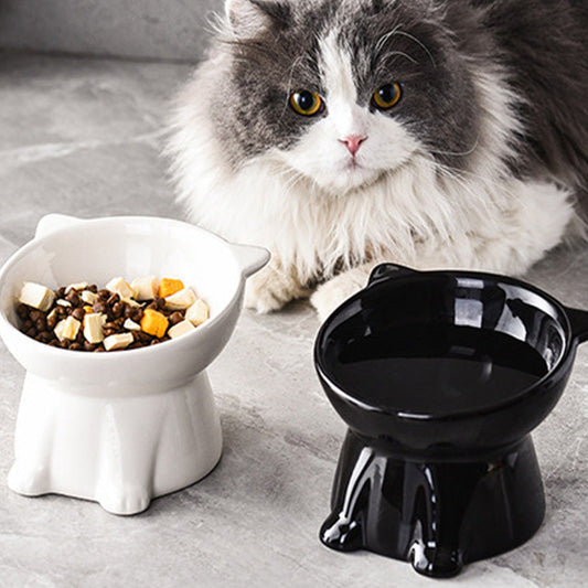 üíùErgonomic Elevated Cat Bowl