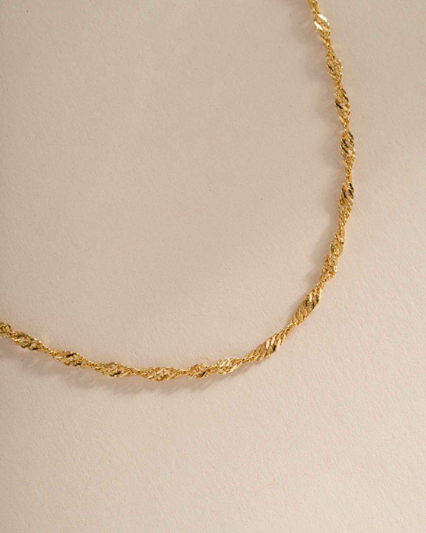 Thin Twisted Chain Necklace