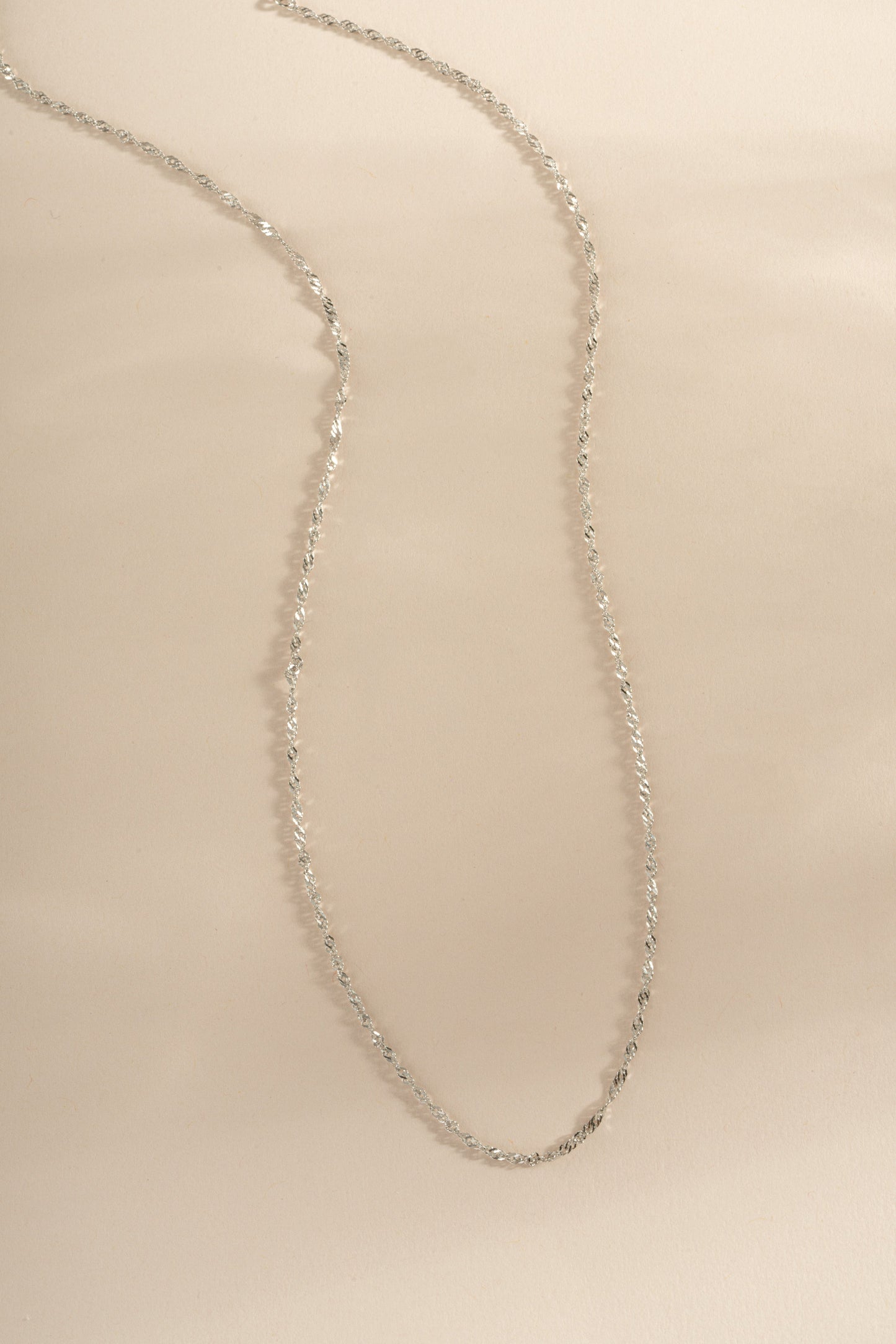 Thin Twisted Chain Necklace