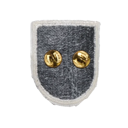 US 5th Special Forces Group Beret Badge and Flash - US Army Surplus - Flags, Badges & Insignia