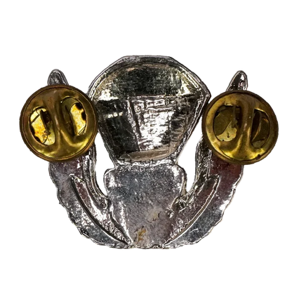 US Army 82nd Airborne Division Freefall Wings Badge - US Army Surplus - Flags, Badges & Insignia