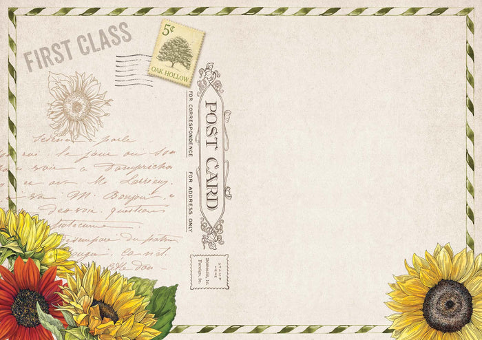 Vintage Squirrel & Sunflower | Notecards with keepsake box