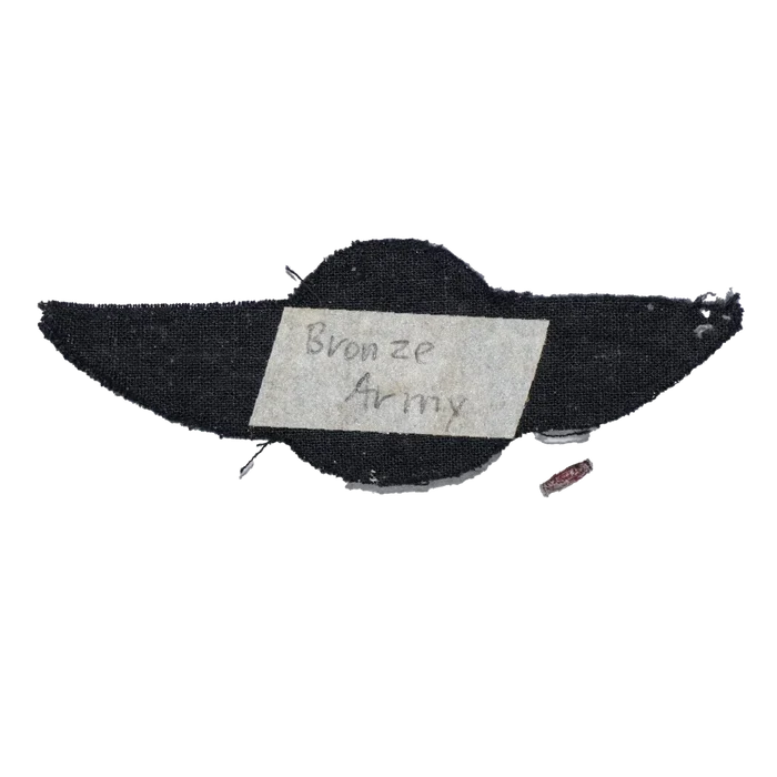 West German Gold Parachute Wings Patch - German Army Surplus - Flags, Badges & Insignia